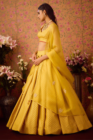 Lehenga Set – Yellow Festive Wedding – Shyam Narayan Prasad