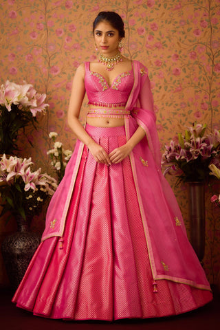 Lehenga Set – Pink Festive Wedding Embroidered – Shyam Narayan Prasad