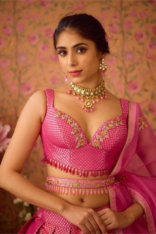 Lehenga Set – Pink Festive Wedding Embroidered – Shyam Narayan Prasad