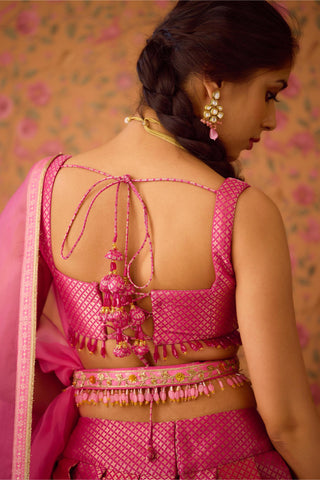 Lehenga Set – Pink Festive Wedding Embroidered – Shyam Narayan Prasad