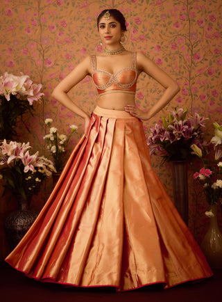 Lehenga Set – Pink Festive Wedding – Shyam Narayan Prasad