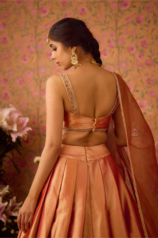 Lehenga Set – Pink Festive Wedding – Shyam Narayan Prasad