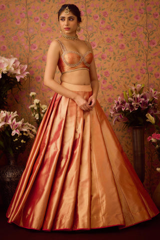 Lehenga Set – Pink Festive Wedding – Shyam Narayan Prasad
