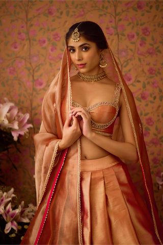 Lehenga Set – Pink Festive Wedding – Shyam Narayan Prasad
