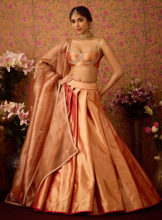 Lehenga Set – Pink Festive Wedding – Shyam Narayan Prasad