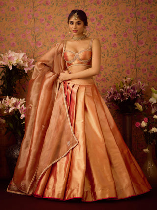 Lehenga Set – Pink Festive Wedding – Shyam Narayan Prasad