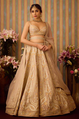 Lehenga Set – Gray Festive Wedding – Shyam Narayan Prasad