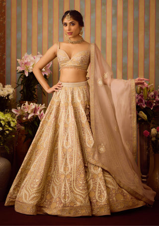 Lehenga Set – Gray Festive Wedding – Shyam Narayan Prasad
