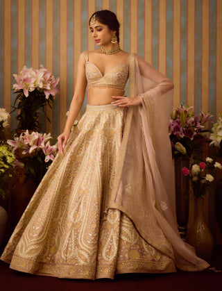Lehenga Set – Gray Festive Wedding – Shyam Narayan Prasad