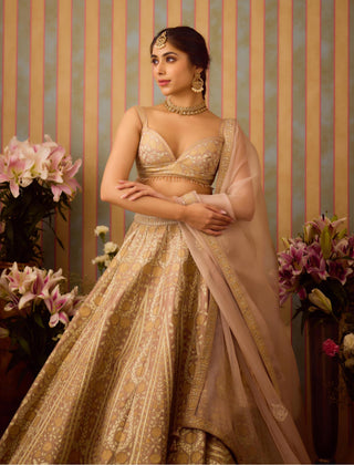 Lehenga Set – Gray Festive Wedding – Shyam Narayan Prasad