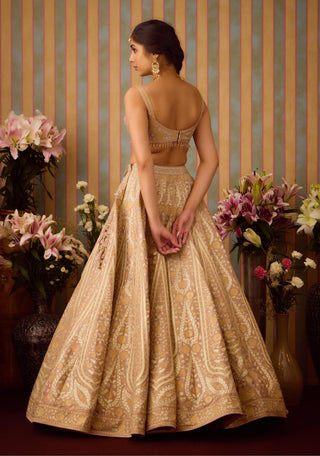 Lehenga Set – Gray Festive Wedding – Shyam Narayan Prasad