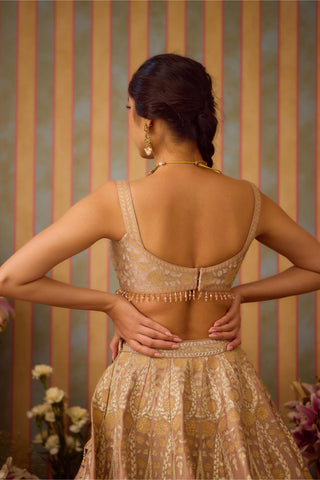 Lehenga Set – Gray Festive Wedding – Shyam Narayan Prasad