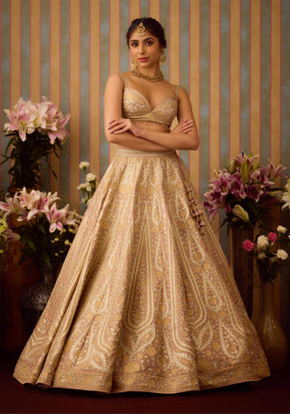 Lehenga Set – Gray Festive Wedding – Shyam Narayan Prasad