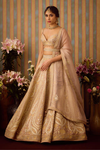 Lehenga Set – Gray Festive Wedding – Shyam Narayan Prasad