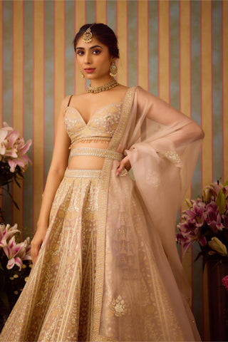 Lehenga Set – Gray Festive Wedding – Shyam Narayan Prasad