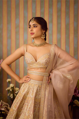 Lehenga Set – Gray Festive Wedding – Shyam Narayan Prasad