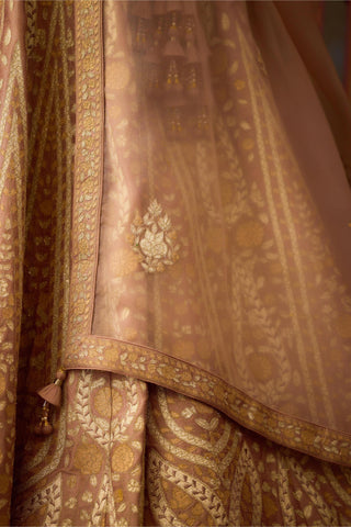 Lehenga Set – Gray Festive Wedding – Shyam Narayan Prasad