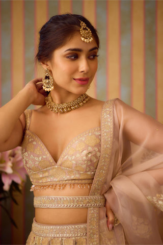 Lehenga Set – Gray Festive Wedding – Shyam Narayan Prasad