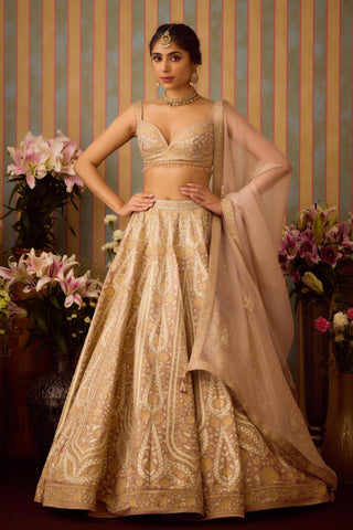 Lehenga Set – Gray Festive Wedding – Shyam Narayan Prasad