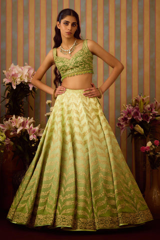 Lehenga Set – Green Festive Wedding Embroidered – Shyam Narayan Prasad