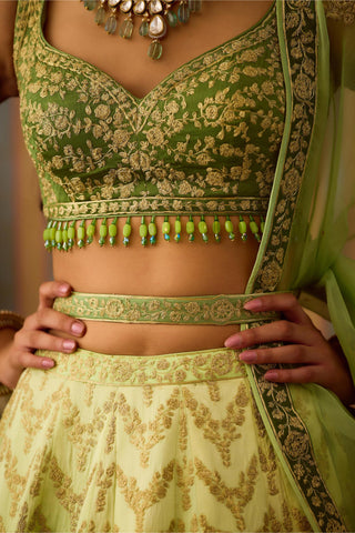 Lehenga Set – Green Festive Wedding Embroidered – Shyam Narayan Prasad