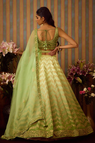 Lehenga Set – Green Festive Wedding Embroidered – Shyam Narayan Prasad