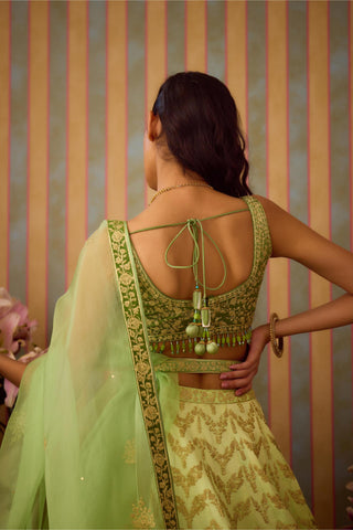 Lehenga Set – Green Festive Wedding Embroidered – Shyam Narayan Prasad