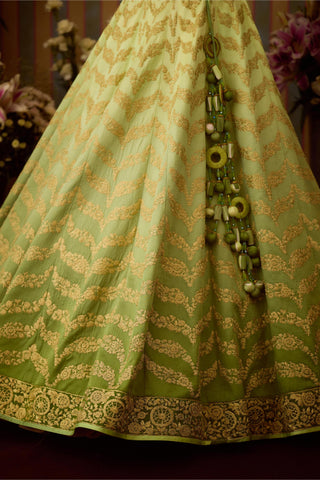 Lehenga Set – Green Festive Wedding Embroidered – Shyam Narayan Prasad