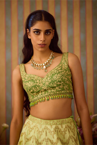 Lehenga Set – Green Festive Wedding Embroidered – Shyam Narayan Prasad