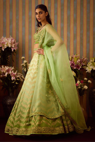 Lehenga Set – Green Festive Wedding Embroidered – Shyam Narayan Prasad