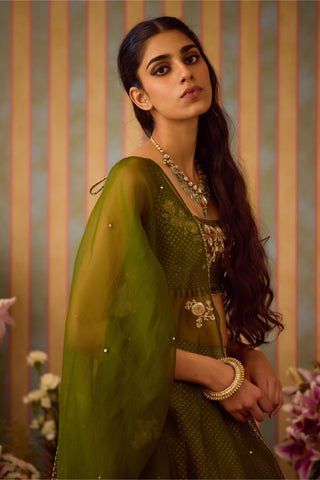 Lehenga Set – Green Festive Wedding – Shyam Narayan Prasad