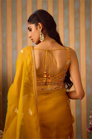 Saree Set – Yellow Festive Wedding – Shyam Narayan Prasad