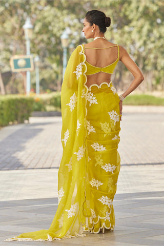 Green gul flower saree set