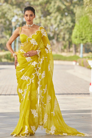 Green gul flower saree set