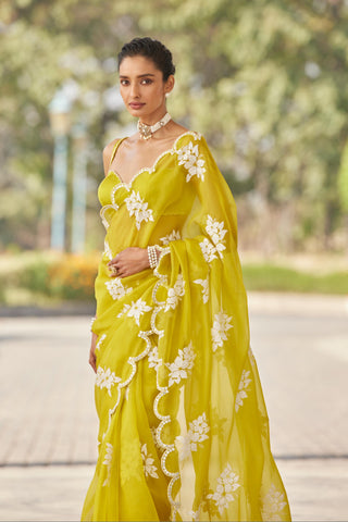 Green gul flower saree set