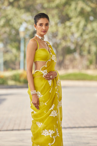 Green gul flower saree set