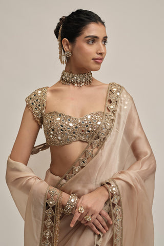 organza saree set - Indian Wedding - Beige Modern Maharani Satin by Vvani by Vani Vats