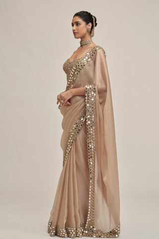 organza saree - Indian Wedding - Beige Modern Maharani Satin Mirror by Vvani by Vani Vats