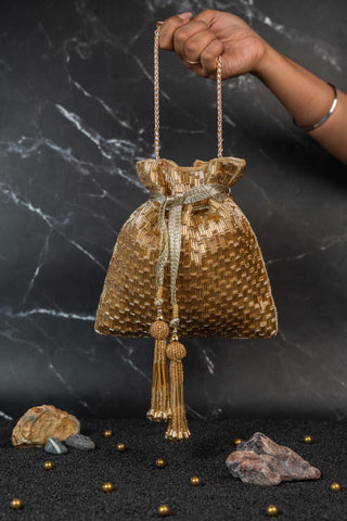 Gold salli en vie kasse bag