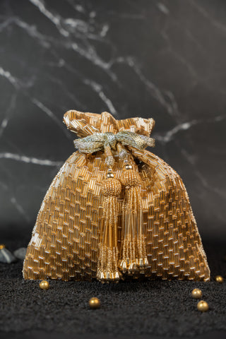 Gold salli en vie kasse bag