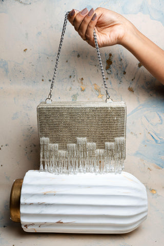 Silver salli en vie kasse bag