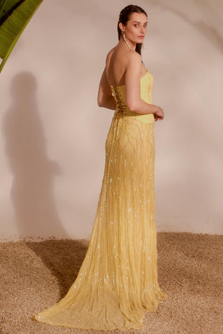 Yellow nyra lani corset and skirt set