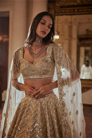 Lehenga Set Heritage Wear - Beige Raw Silk Lehenga Set by Tamanna Punjabi Kapoor