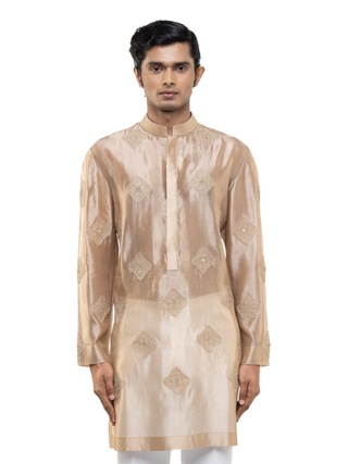 Beige translucent organza kurta set