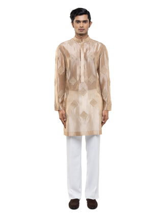 Beige translucent organza kurta set