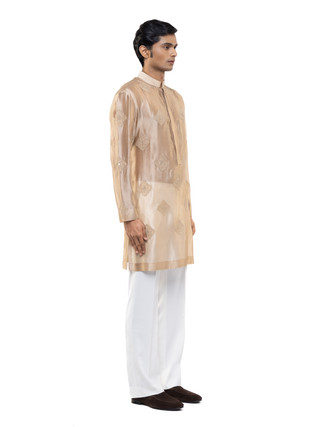 Beige translucent organza kurta set