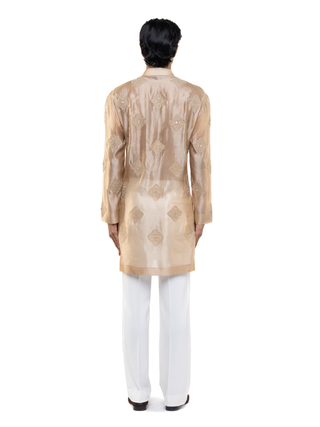 Beige translucent organza kurta set