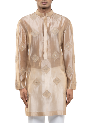 Beige translucent organza kurta set