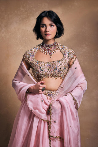Organza Lehenga Indian Wedding – Pink Soft Wedding Style by Tamanna Punjabi Kapoor