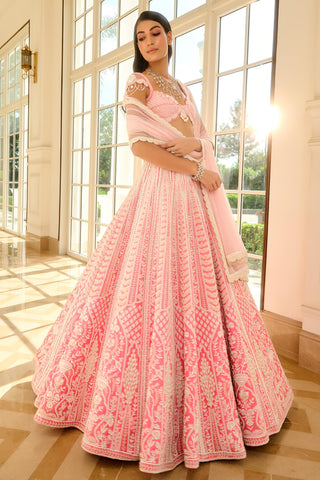 Pink tulika lehenga set